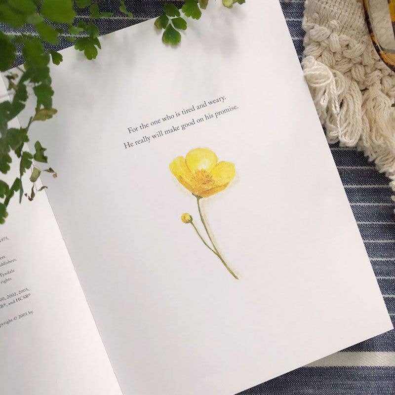 Freely & Lightly Book